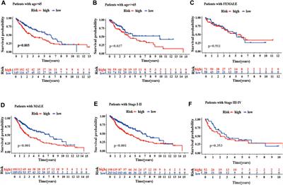 N6-Methyladenosine-Related Long Non-Coding RNAs Are Identified as a Potential Prognostic Biomarker for Lung Squamous Cell Carcinoma and Validated by Real-Time PCR